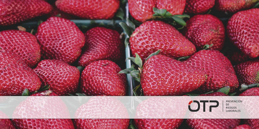 Promoción de la salud: consejos para una alimentación saludable